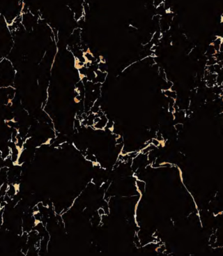 Porcelanato Zafiro Negro con Vetado Dorado - Super Ceramic Ecuador